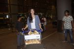 Kriti Sanon with Dilwale team return from Bulgaria in Mumbai Airport on 1st July 2015